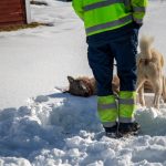 En rovdjurspolitik som saknar bred acceptans ute bland de vilka bär konsekvenserna av denna, som saknar förutsägbarhet och tydlighet och där politiska beslut om nivåmål omtolkas på myndighetsnivå, är inte den bästa grunden att bygga tillit på, anser skribenten.