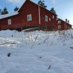 Vargspår vid ett hus i Ovanåkers kommun, Hälsingland.