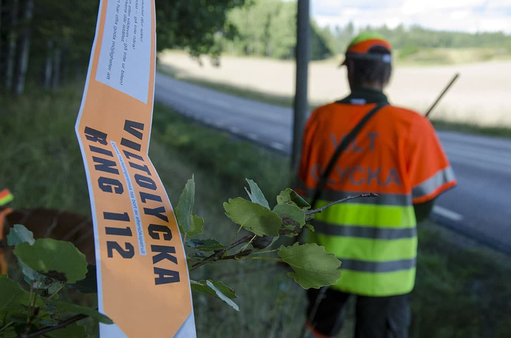 Den klart vanligaste orsaken till att eftersöken på trafikskadat vilt inte klaras upp är att bilisten inte märkt ut olyckplatsen. Foto: Martin Källberg