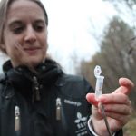 Ruth Nichols DNA-test kan visa vilken djurart som betat på ett träd. Foto: Magnus Nyberg