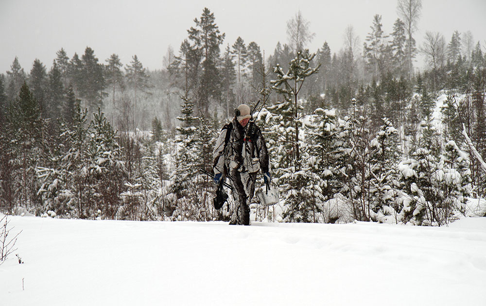 Det är ännu oklart hur det går med årets vargjakt. Just nu hopar sig frågorna i Kammarrätten. Foto: Olle Olsson