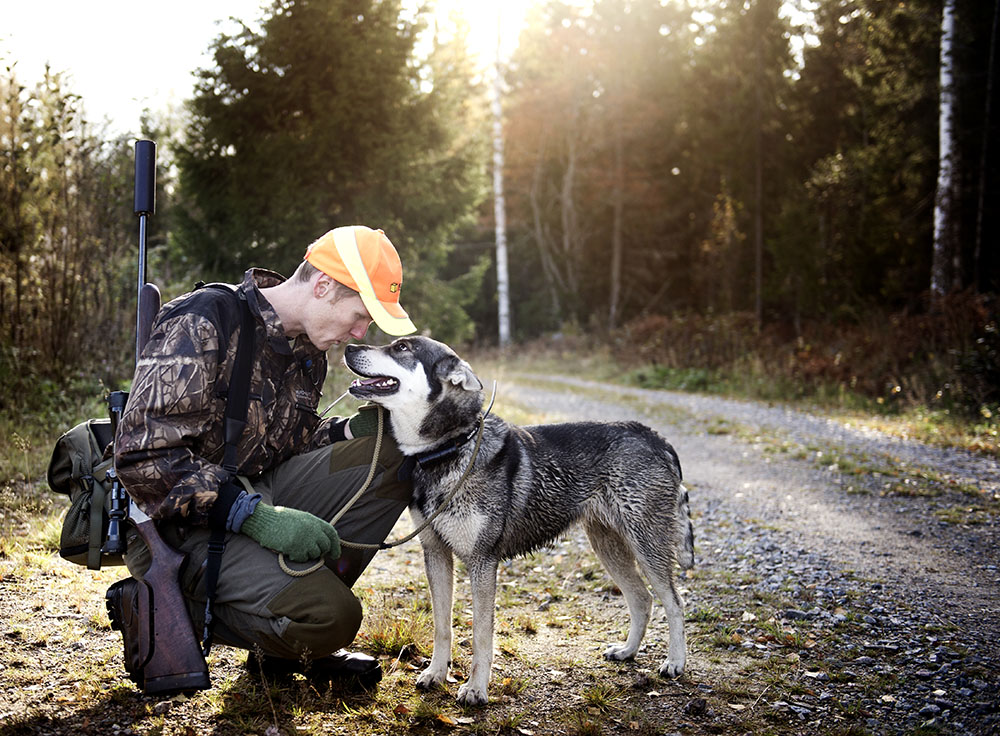 Jägareförbundet och LRF anser att det är hög tid att länsstyrelsen i Halland omgående börjar arbeta med att skapa en fungerande organisation för skyddsjakt. Foto: Pontus Orre