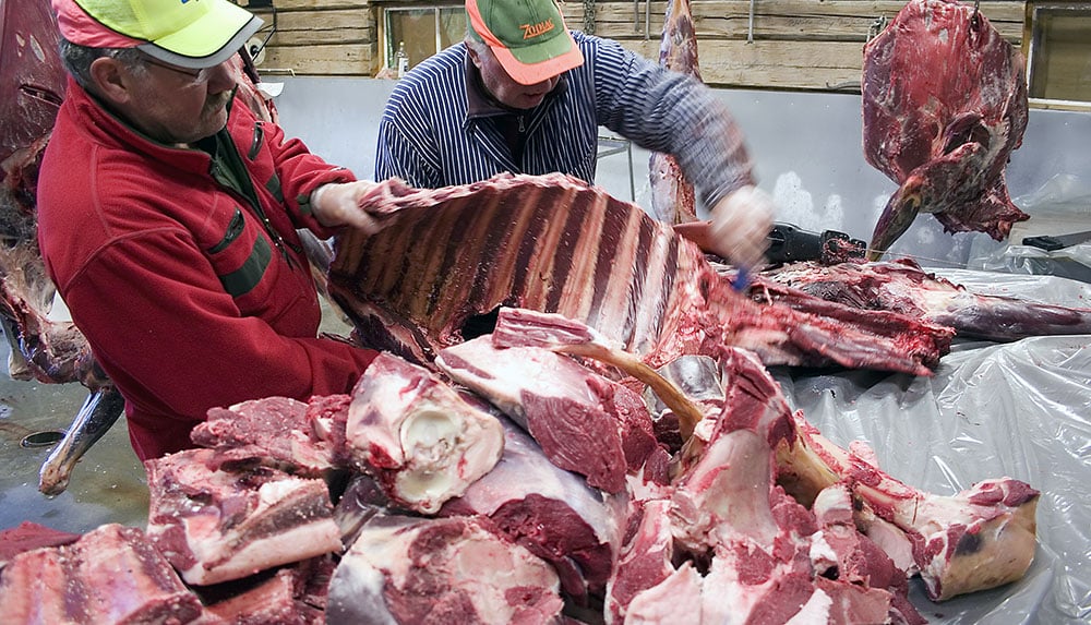 Störst samband med positiva attityder till jakt har konsumtion av viltkött. Det visar en avhandling från SLU. Foto: Olle Olsson