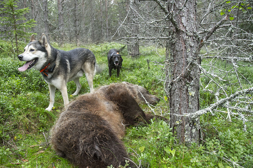 Foto: Olle Olsson