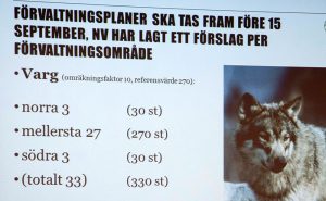 Föreslaget golv för vargstammen. Foto: Jan Henricson