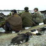 Jakten på Kronoholmarna i Blekinge skärgård var tidigare fri för såväl i länet boende jägare som gäster utifrån. Så är det inte sedan Fastighetsverket tog över ansvaret. Foto: Jan Henricson