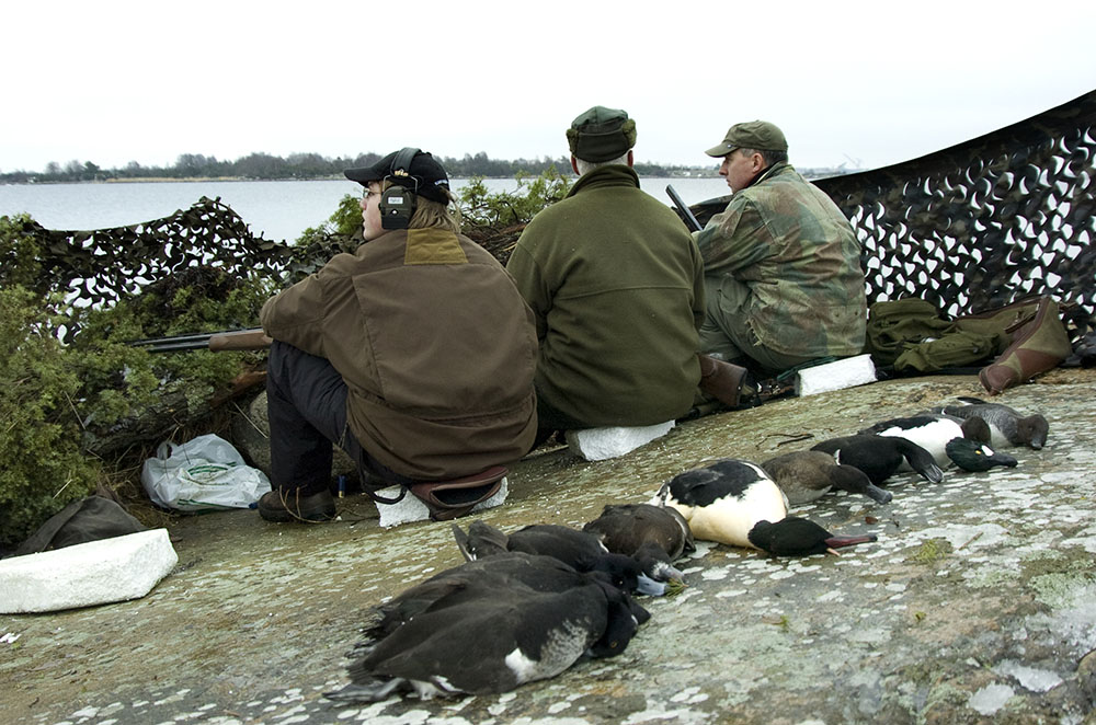 Jakten på Kronoholmarna i Blekinge skärgård var tidigare fri för såväl i länet boende jägare som gäster utifrån. Så är det inte sedan Fastighetsverket tog över ansvaret. Foto: Jan Henricson