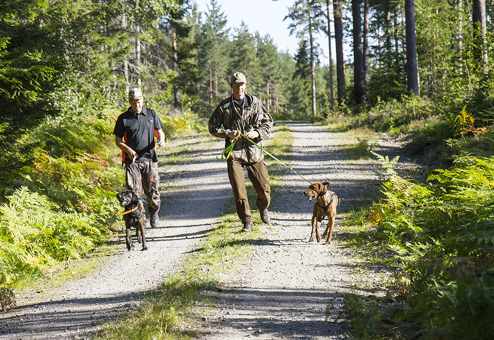 Foto: Olle Olsson