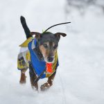 Foto: Sten Christoffersson