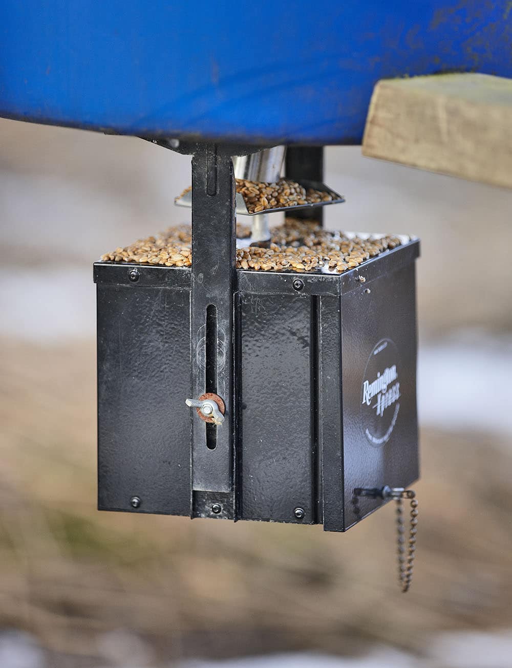 Stor bländaröppning ger litet skärpedjup. Motivet framstår tydligare mot bakgrunden men samtidigt är det viktigare att skärpan är exakt inställd. Foto: Sten Christoffersson