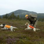 Den som tänkt lösa småviltkort på statens mark ovan odlingsgränsen får göra som tidigare år, alltså köpa via återförsäljare. Att köpa online via datorn och applikationen NatureIT kommer inte vara möjligt alls i Norrbotten den här hösten. Foto: Jan Henricson