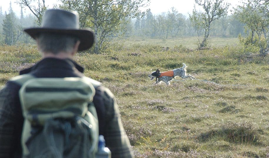 ILO 169 handlar om att tillförsäkra urbefolkningen markerna. Något som kan komma att påverka fjälljakten på ett högst märkbart sätt, enligt Jägareförbundet. Foto: Jan Henricson