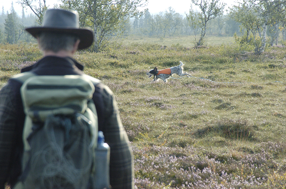 ILO 169 handlar om att tillförsäkra urbefolkningen markerna. Något som kan komma att påverka fjälljakten på ett högst märkbart sätt, enligt Jägareförbundet. Foto: Jan Henricson