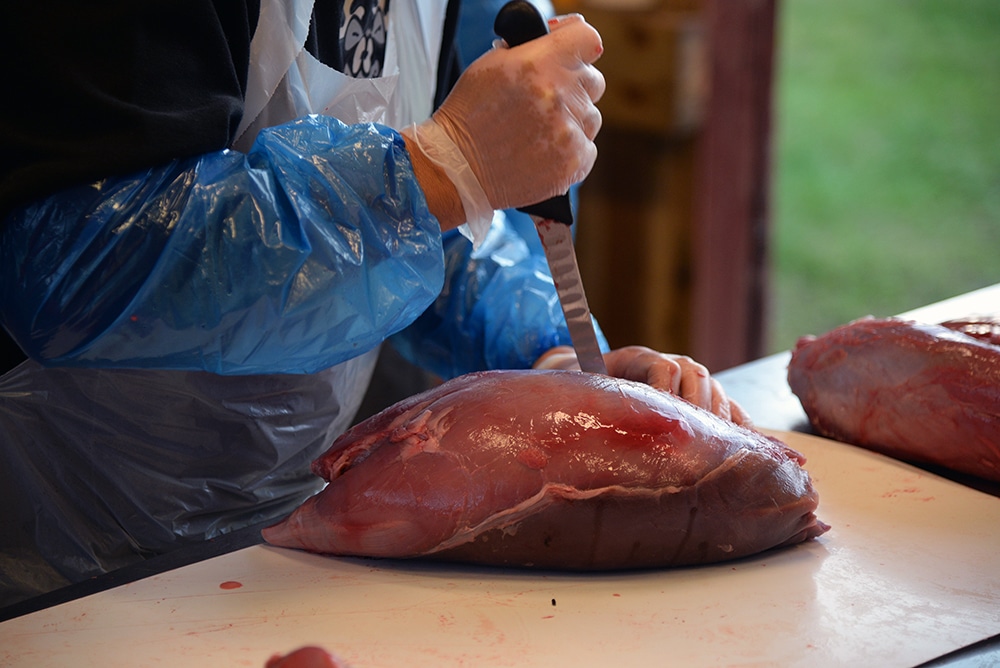 Nu kommer Livsmedelsverket med rekommendationen att skära bort minst en decimeter opåverkat kött runt sårkanalen, samtidigt som restriktionerna för gravida och barn plockas bort. Foto: Lars-Henrik Andersson