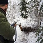Företrädare för Svenska grythundklubben säger att det vore förödande om grytjakt förbjuds. Foto: Olle Olsson
