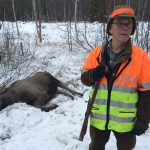 Eftersöksjägaren Gunnar Eriksson lyckades fälla den aggressiva älgkon i Luleå. Foto: Lars-Henrik Andersson