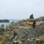 Vägen till att en ny jaktmyndighet bildas är lång, även om en majoritet av de folkvalda i riksdagen tycker att det är det bästa alternativet. Foto: Jan Henricson
