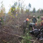 Jägarna behöver en ny myndighet som kan koncentrera sig på viltförvaltning och viltvård, anser Alliansen och SD. Foto: Jan Henricson