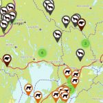 Så här visas rapporterna av stora rovdjur i appen Skandobs Touch.