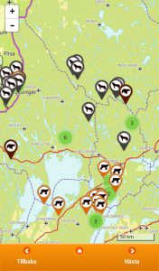 Så här visas rapporterna av stora rovdjur i appen Skandobs Touch.