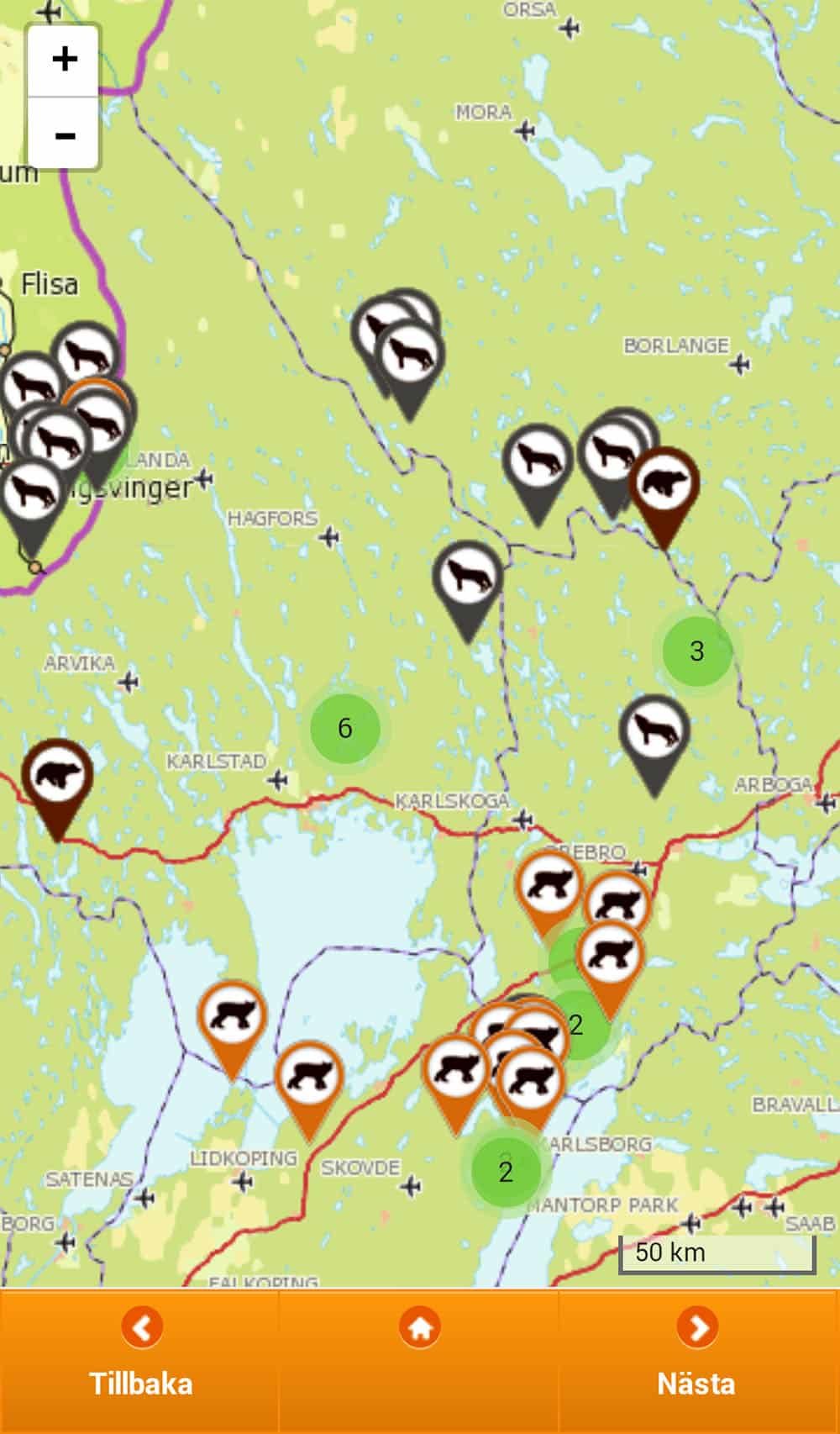 Så här visas rapporterna av stora rovdjur i appen Skandobs Touch.