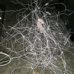 Ett nystan av illegala snaror för småvilt. Vid gokartbanan Östra Stranden utanför Halmstad påträffades närmare 60 snaror monterade mellan spjälorna i ett trästaket. Foto: Privat