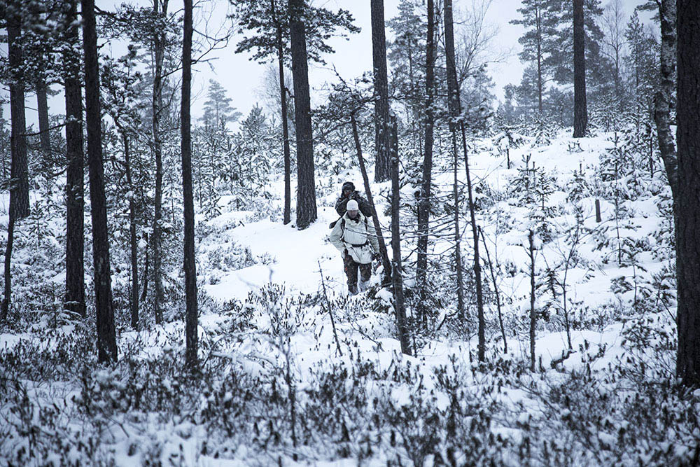 Jägarna har under tolv dagar lagt ner ett enormt arbete för att nå resultat. Foto: Olle Olsson