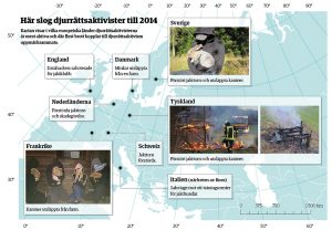 Uppgifterna och bilderna i kartan är hämtade från sajten directaction.info. Grafik: Elin Brander