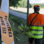 Sett till hela landet var antalet viltolyckor 2014 i stort sett oförändrat jämfört med året innan. I Västra Götaland ökade de dock. Foto: Martin Källberg