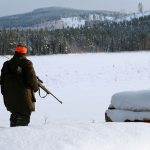 Efter riksdagsdebatten om vargjakt är det fortfarande oklart om det blir jakt till nästa vinter. Foto: Olle Olsson