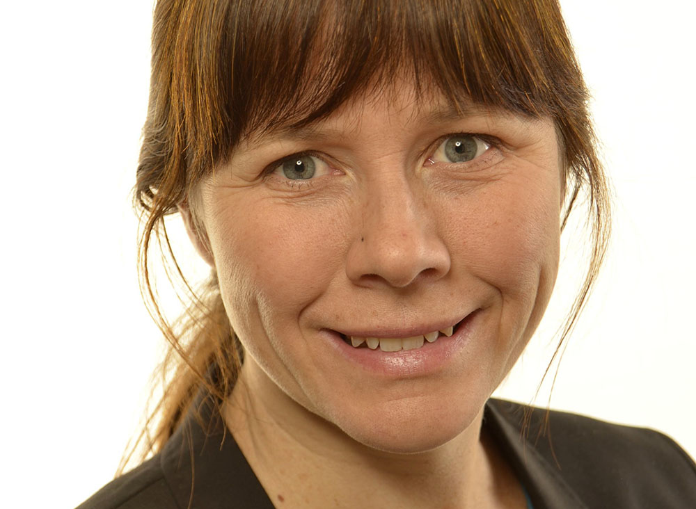Miljöminister Åsa Romson (MP) vill inte låta riksdagens utskott beslut om införandet av nya myndigheter.