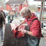 Sven-Gunnar Lunneryd visar Blekingejägarna hur sälskinnet tas om hand på bästa sätt. Foto: Privat