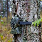 En åtelkamera fångade kabeltjuvar på bild. Foto: Olle Olsson