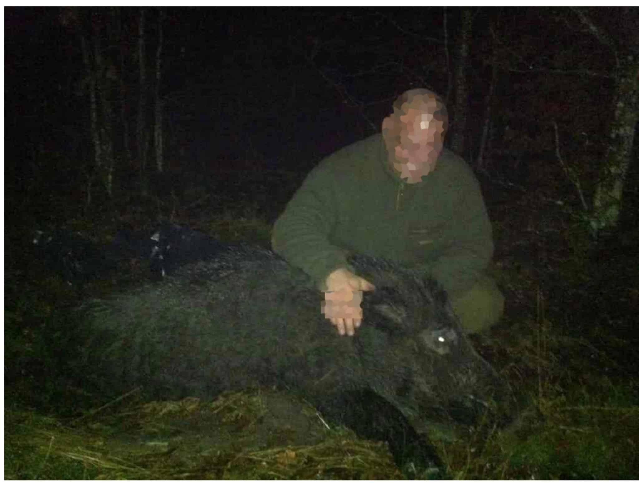Den 36-årige danske medborgaren kan dömas till två års fängelse eller mer för grovt jaktbrott. Det var i varje fall vad åklagaren yrkade i sin slutplädering i Lunds tingsrätt. Foto: Från förundersökningsprotokollet