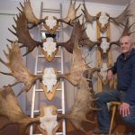 Hans Magnussons hornsamling är makalös. Hur många mil han gått i skog och mark för att hitta alla horn går inte ens att föreställa sig. Foto: Jan Henricson
