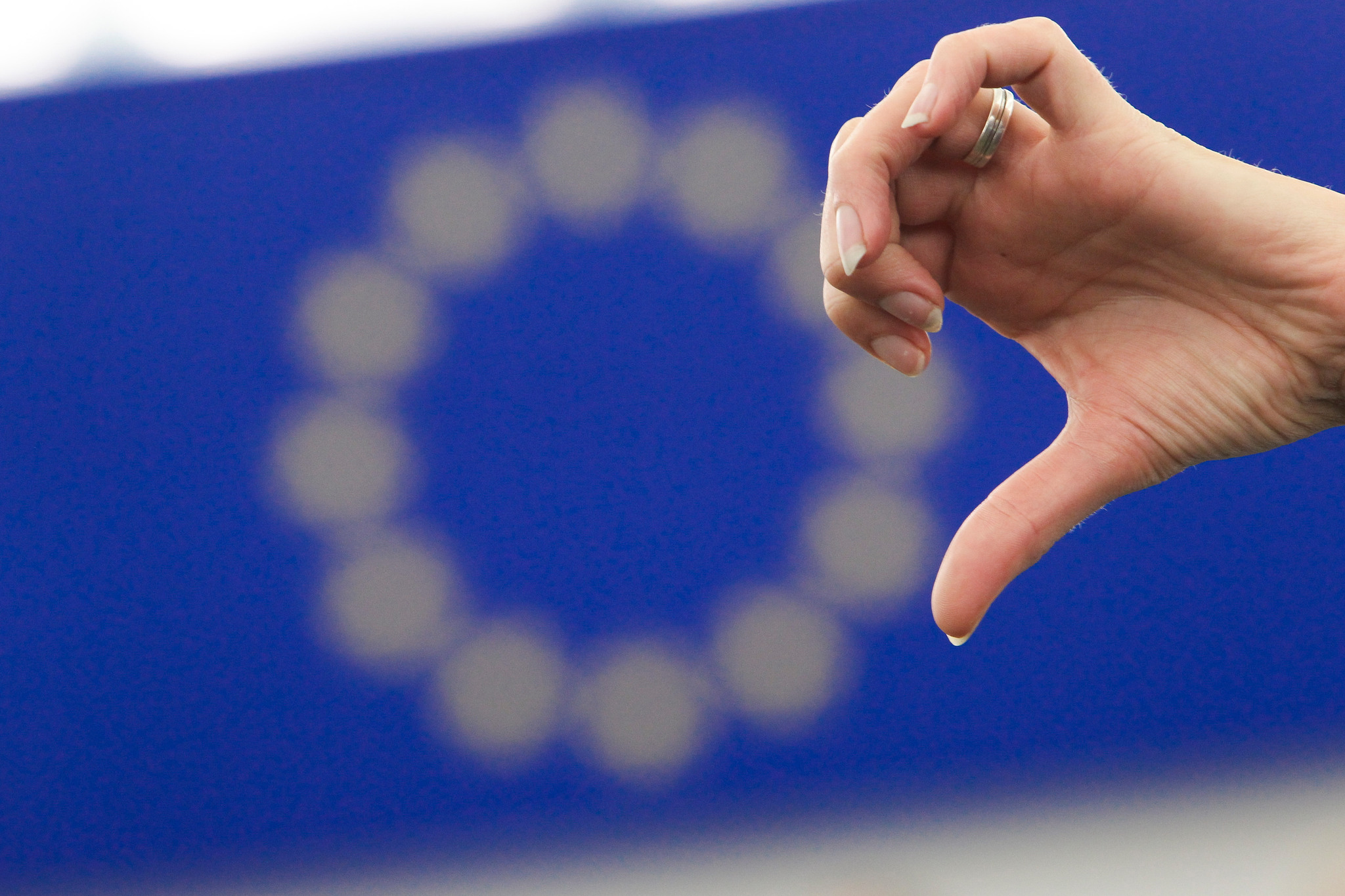 Den som anser att de EU-direktiv som berör jakten (Art- och habitatdirektivet och Fågeldirektivet) bör förändras rekommenderas att besvara EU-kommissionens enkät, som avslutas på fredag. Foto: EU