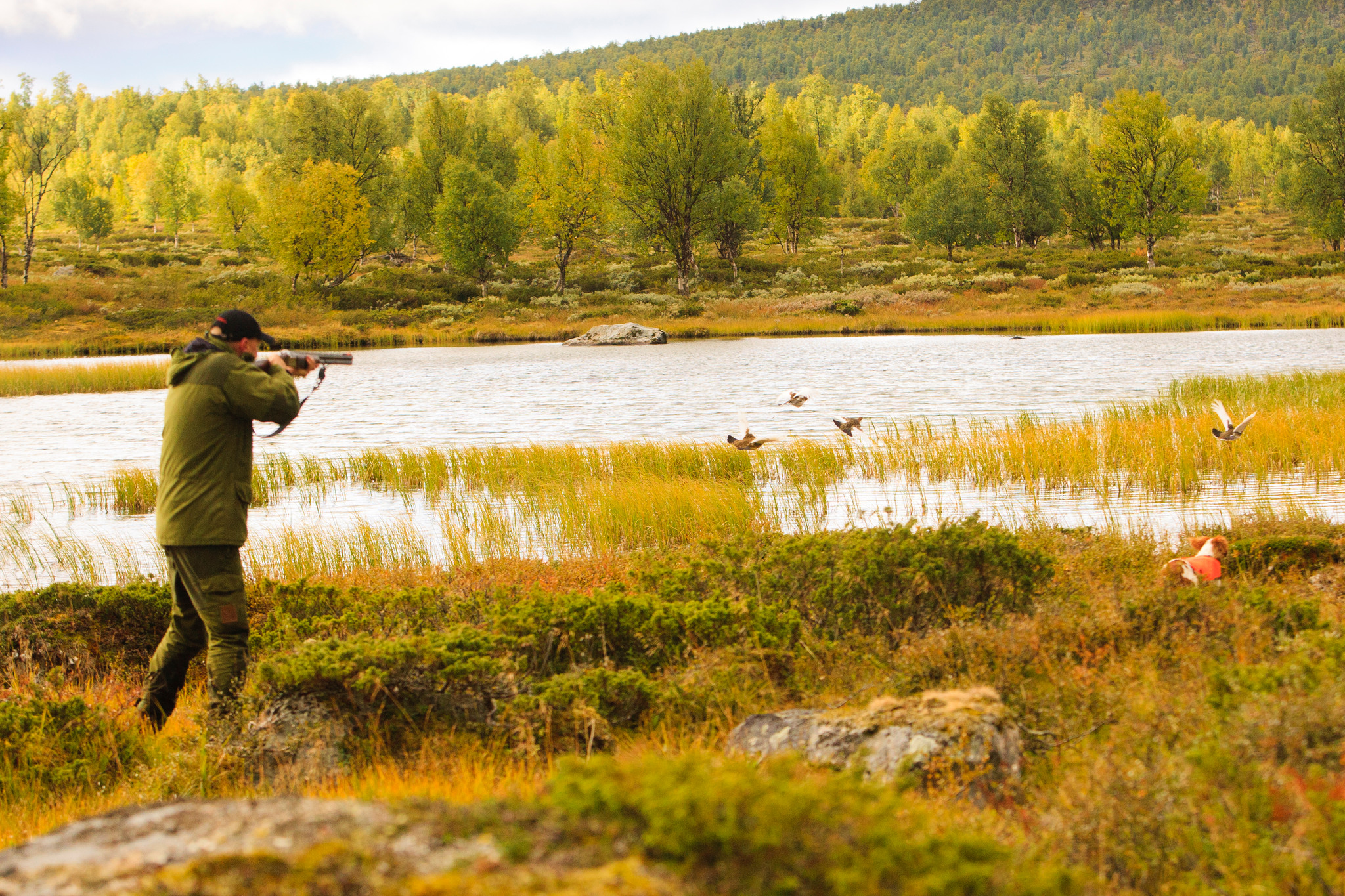 Dygnskvoten i Jämtland sänktes efter ett märkligt beslut av länsstyrelsen. Foto: Kjell-Erik Moseid
