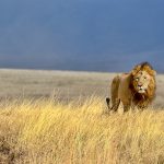 Foto: Crazycolors/Adobe Stock
