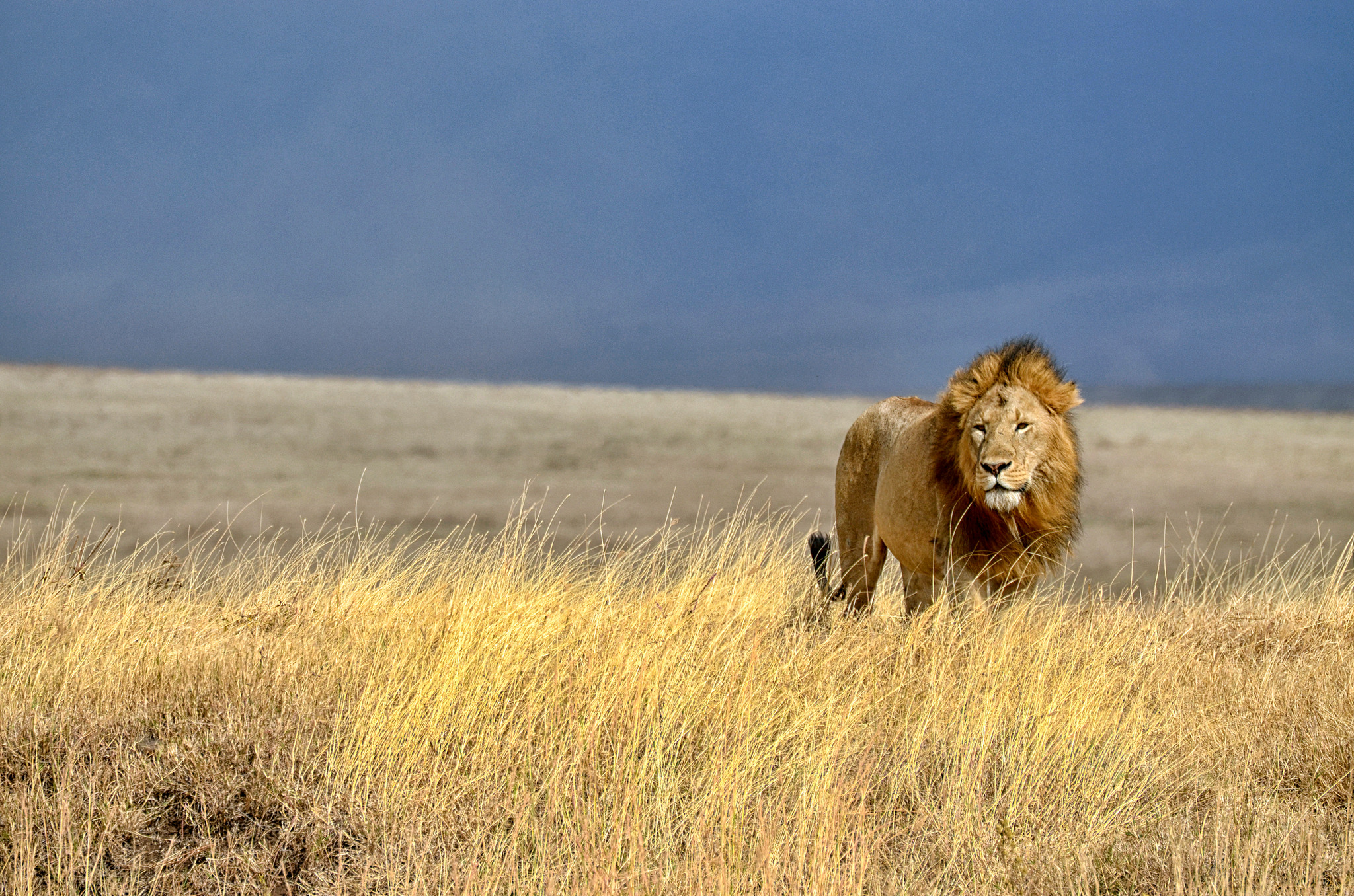 Foto: Crazycolors/Adobe Stock