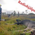 Pengarna från auktionen går oavkortat till Radiohjälpen. Foto: Lars-Henrik Andersson
