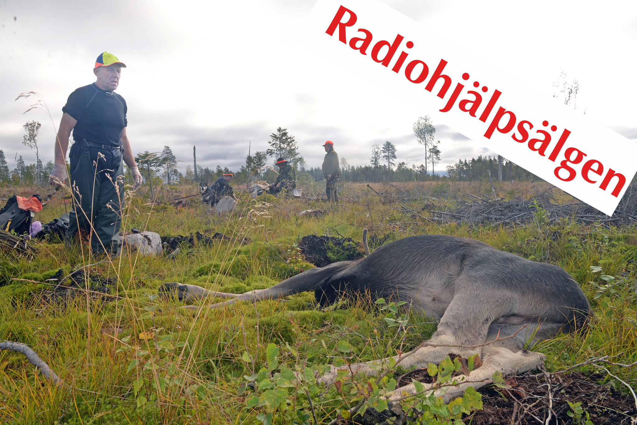 Pengarna från auktionen går oavkortat till Radiohjälpen. Foto: Lars-Henrik Andersson