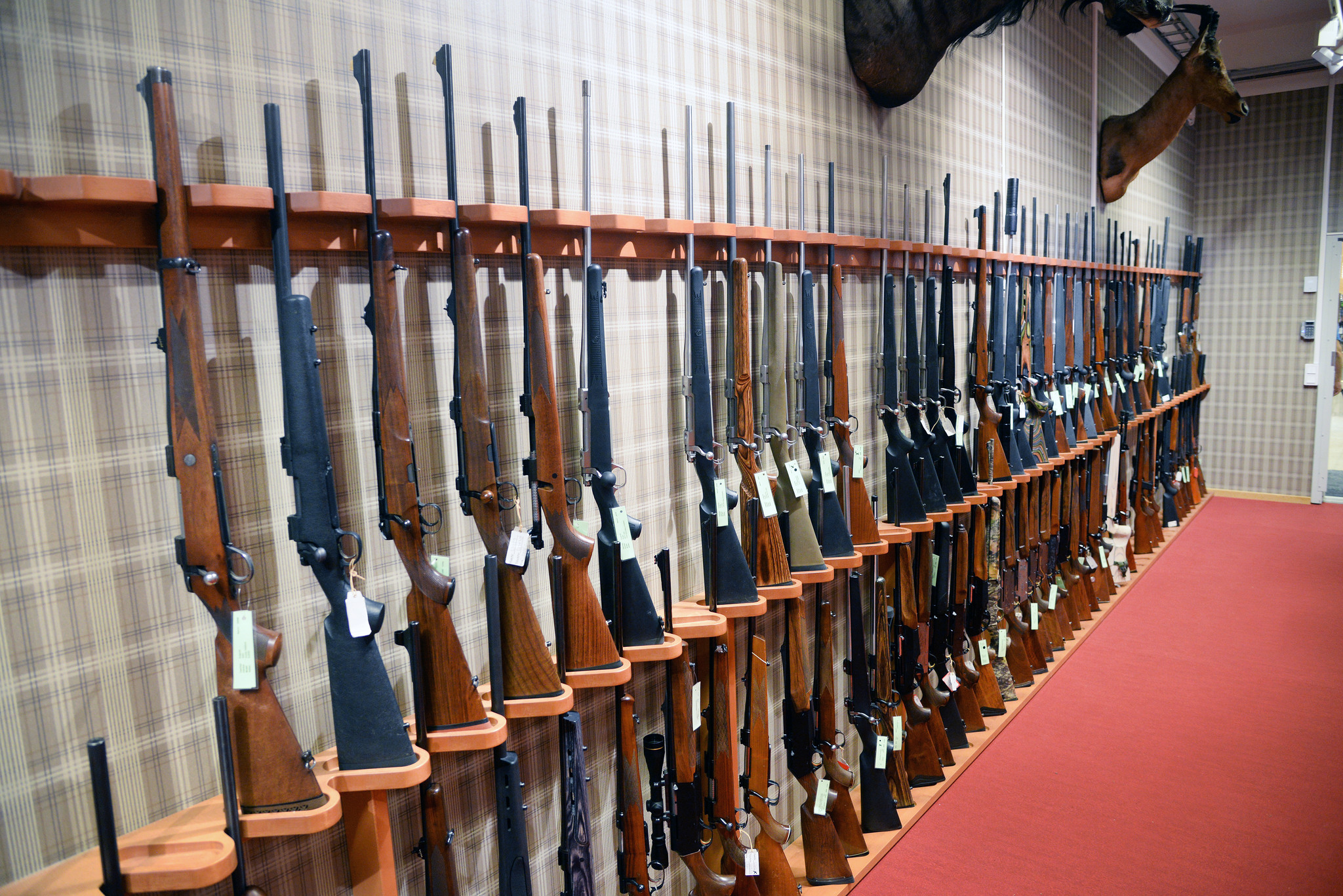 Företrädare för tre borgerliga partier vill att handläggningstiderna vid licensprövning av jaktvapen och vapen för prickskytteändamål ska vara likartade i hela landet. Foto: Lars-Henrik Andersson