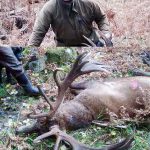 Jan Sveningsson bor i Gnosjö kommun men var nyligen på jakt i Sörmland där han fällde denna ståtliga kronhjort. Foto: Privat