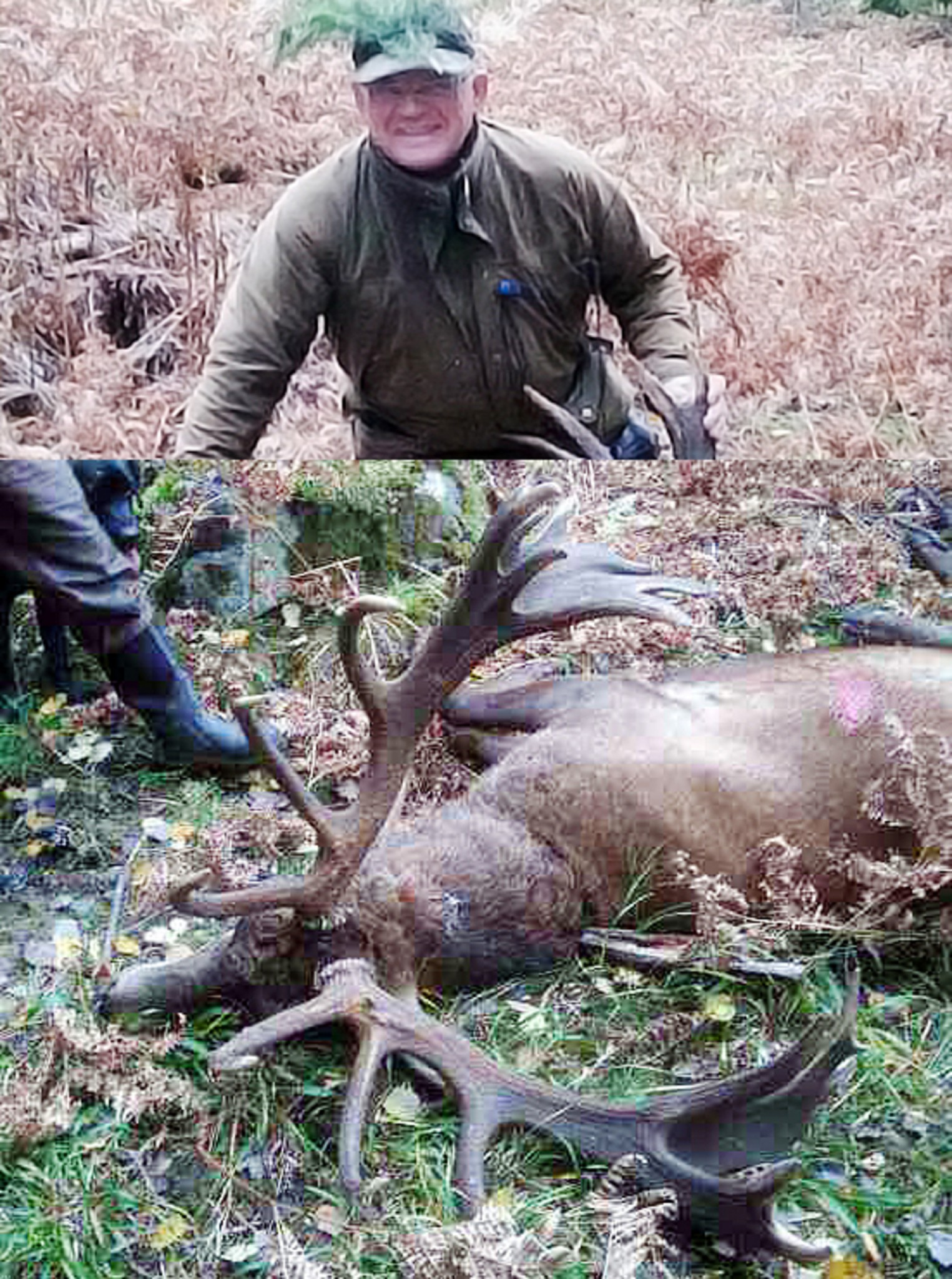 Jan Sveningsson bor i Gnosjö kommun men var nyligen på jakt i Sörmland där han fällde denna ståtliga kronhjort. Foto: Privat
