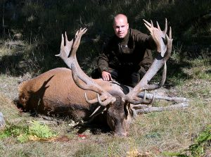 Störst av de horn som mättes in 2014 och även störst på totallistan är den här fina kronhjorten som Samuel Svensson fällde på Hesselbyholms gård i Södermanland den 1 september 2013. Hornet mätte hela 246,9 poäng.
