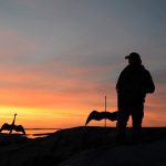 I det första programmet jagas det skarv, säl och mink. Foto: Mikael Jägare