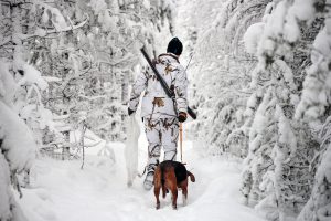 Forskare vid SVA vill ha stövarjägarnas hjälp med att få in prover från skogshare. Foto: Lars-Henrik Andersson