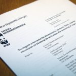 Svenska Naturskyddsföreningen, Världsnaturfonden WWF och Svenska rovdjursföreningen har gemensamt överklagat licensjakten på varg. Foto: Lars-Henrik Andersson