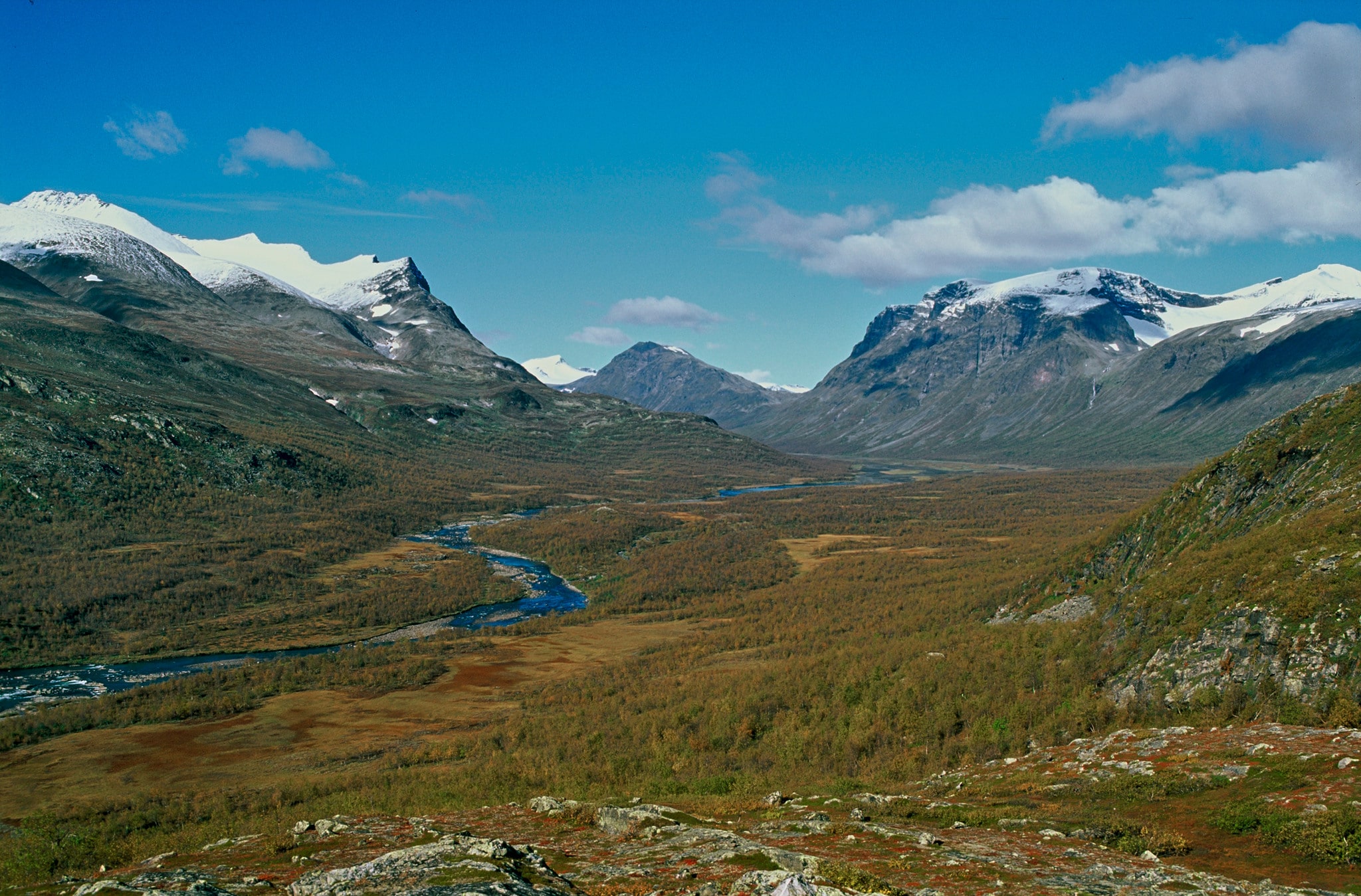 Foto: Kenneth Johansson
