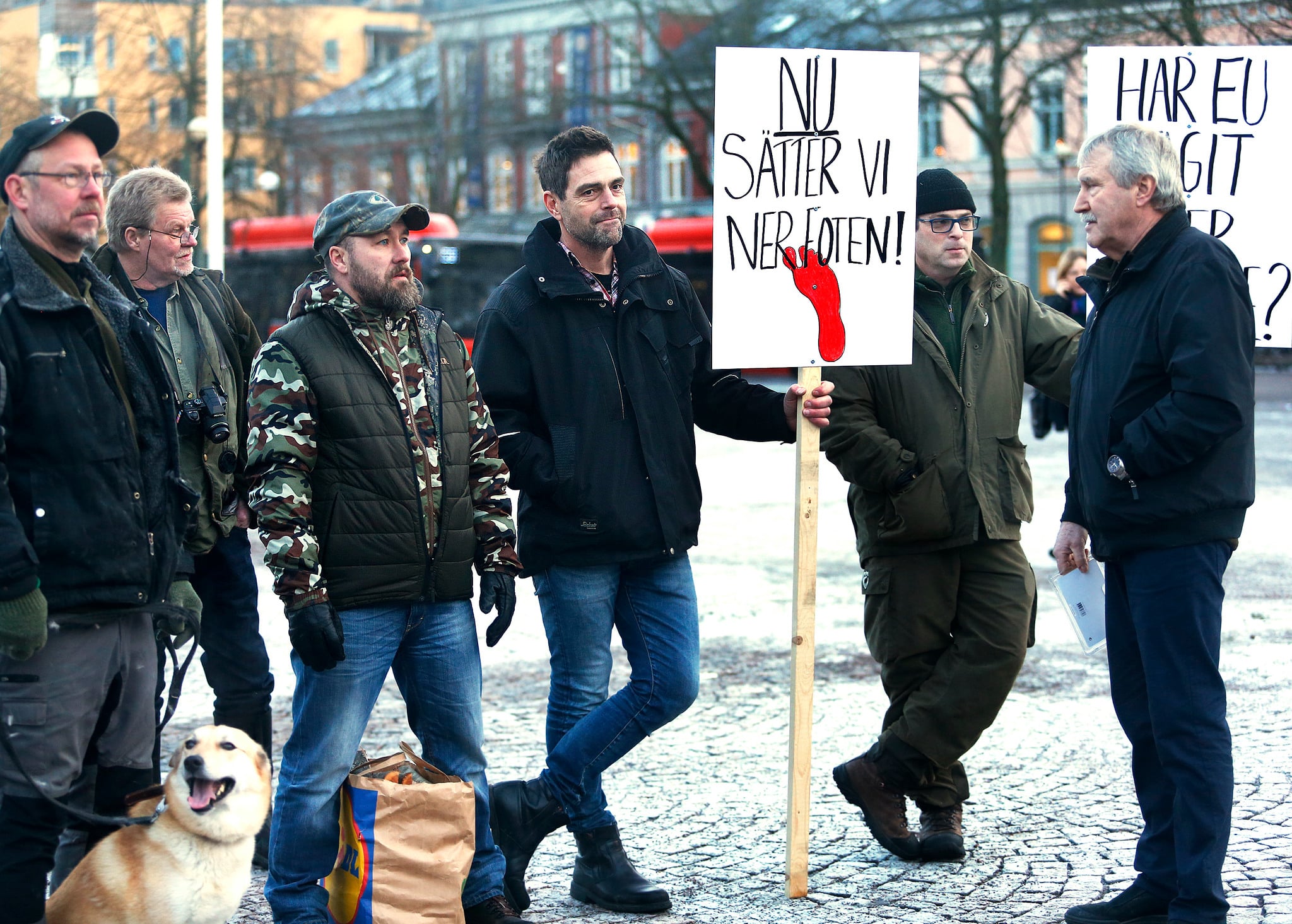 På lördag kommer det att demonstreras mot den ej fungerande vargpolitiken på tre platser: Karlstad, Torsby och Örebro. Foto: Linn Malmén